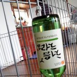 미성년자에게 술 먹이는 부모... 어디에 신고해야 하나요......