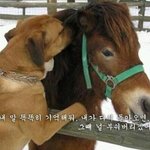 여자친구를 일본男 한태 빼앗겼어요