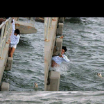 <b>강물</b>에 빠진 강아지!