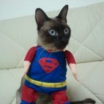 나름 다이어트 성공했어요!! 추카해주세요!! (비포엔 에프터 있음)