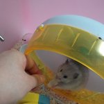<b>입이</b>까다로우신 우리 옹이님