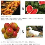같이 먹으면 안 되는 <b>음식</b>들