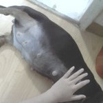 ★★새생명 <b>탄생</b>을 축복해주세요★★