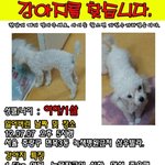 한번만 읽어주세요ㅠㅠ중랑구면목3동<b>녹색</b>병원 까치공원 사가정역 근처에서...