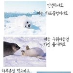 혐오)모피코트 따뜻하나요?