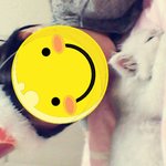 <b>천사</b>가 제게 왔어요0^^0~~♥♥
