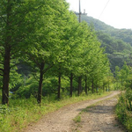 이보게 <b>산길</b>씨