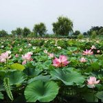 이번 여름 휴가지는 부여로 가는걸로~