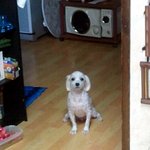 우리집 "<b>황장군</b>"을 소개합니다~!! ㅋㅋㅋㅋ