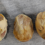 치킨을 먹고싶어요!!!!!