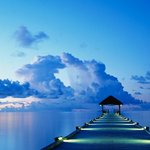 [유디치과]유디치과, 더 큰 <b>도약</b> 위한 유디치과 사업구조변경