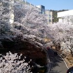 [동영상有]버스커버스커 <b>장범준</b>이랑 키스했어요.