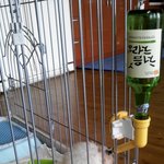 미성년자 음주현장 적발... 너 딱~~!! 걸렸어~~!!!