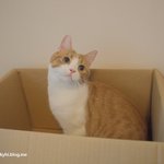 우울할 때 보는 유봉이 앙<b>즈</b> 사진모음★유봉이 앙<b>즈</b>판★