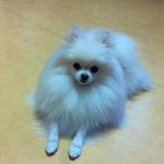 ★☆★☆★ [개판] 우리집 자매 소리♥<b>마리</b> ☆★☆★☆