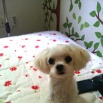 ♥♡♥♡♥♡♥♡♥♡봄이푸름이 일상♥♡♥♡♥♡♥♡♥♡