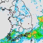 비오는 날 <b>파전</b>에 막걸리
