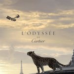 영화 같은 광고~ 기아차 uvo, 까르띠에! 돈의 맛! 고퀄 영상의...