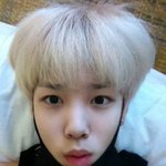 <b>젤로</b> 최근 셀카 귀염터져