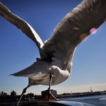 [유디치과]유디치과 구조개편, 유디치과 <b>도약</b>의 청신호