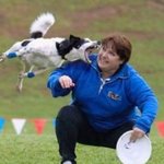 인간을 공격하는 <b>동물</b>들?.jpg