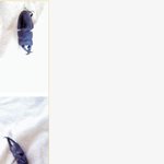 <b>사슴</b>벌레 먹는게 공포네