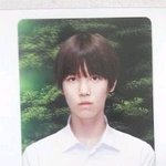 ★★★★젤로 성형 꼭 봐주셨으면해요...★★★★