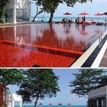 ☆★'세계에서 가장 시리즈' 1탄 - 세계에서 가장 무서운 수영장 <b>top</b>...