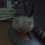 ★★★그래요!!!!내이름우<b>쭈쭈</b>에요!!!!!!!!!!!!!!!★★★