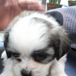 (사진有)  욱베이비와의 사랑스러운 신혼이야기♡