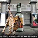 ※술먹으면 나는뭐가 되나요? 테스트임
