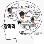 수지뇌구조ㅎ 장마리뇌구조ㅋㅋ