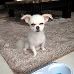 (사진多) 콩이2탄!!! 꺅ㅋ톡될줄 몰랐음ㅋㅋ