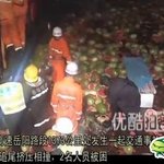 대륙의 <b>수박</b>축제