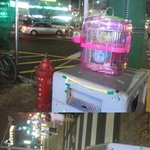 [사진有] <b>화곡역</b> 7번출구에 기니피그? 버리고 가신분 보세요.