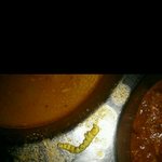 ㅈ학교의 급식의 위생상태와 <b>대처</b>의 문제점