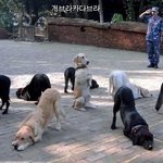 "이것이웃기면 난 <b>지구</b>를 떠날게"