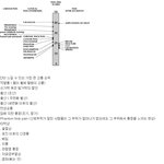 인간이 느끼는 가장큰 고통<b>순위</b>