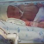 (귀염작렬)<b>이란성</b> 쌍둥이 조카를 소개합니다.