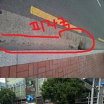 사진有) 교통사고 난 길고양이 구조중 있었던 일입니다. (+추가입니다)