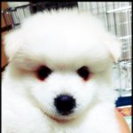 행복이 랍니다~ ^-^ ( 스압이..<b>사진위주</b>..글솜씨 없음요..ㅠ)