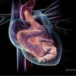 사진有)))혐오아니에요) 이 여자 왜 알몸으로 누워있는지 아시는분...