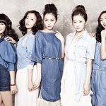 "시골아줌마 <b>포스</b>풍기는 에이핑크"