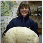 평생먹는 <b>버섯</b>..이란 기사가 떳는데.