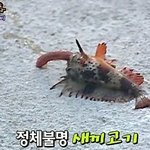 대한민국 예능의 <b>판도</b>를 바꿨을지도 모르는 사건(펌)