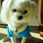 ★★2012년 7월 1일 귀여운 조카들이 생겼어요!