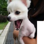 .....세종<b>대왕님</b> 언제옴