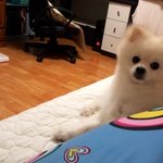 [몽식이5탄!!] 인형구출<b>작전</b>