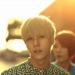 비스트..ㅡㅡ