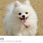 @ 곰돌이 한글이와 세종대왕 [16탄!!!]